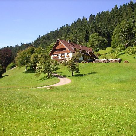 Vogtshof Appartement Bad Rippoldsau-Schapbach Buitenkant foto