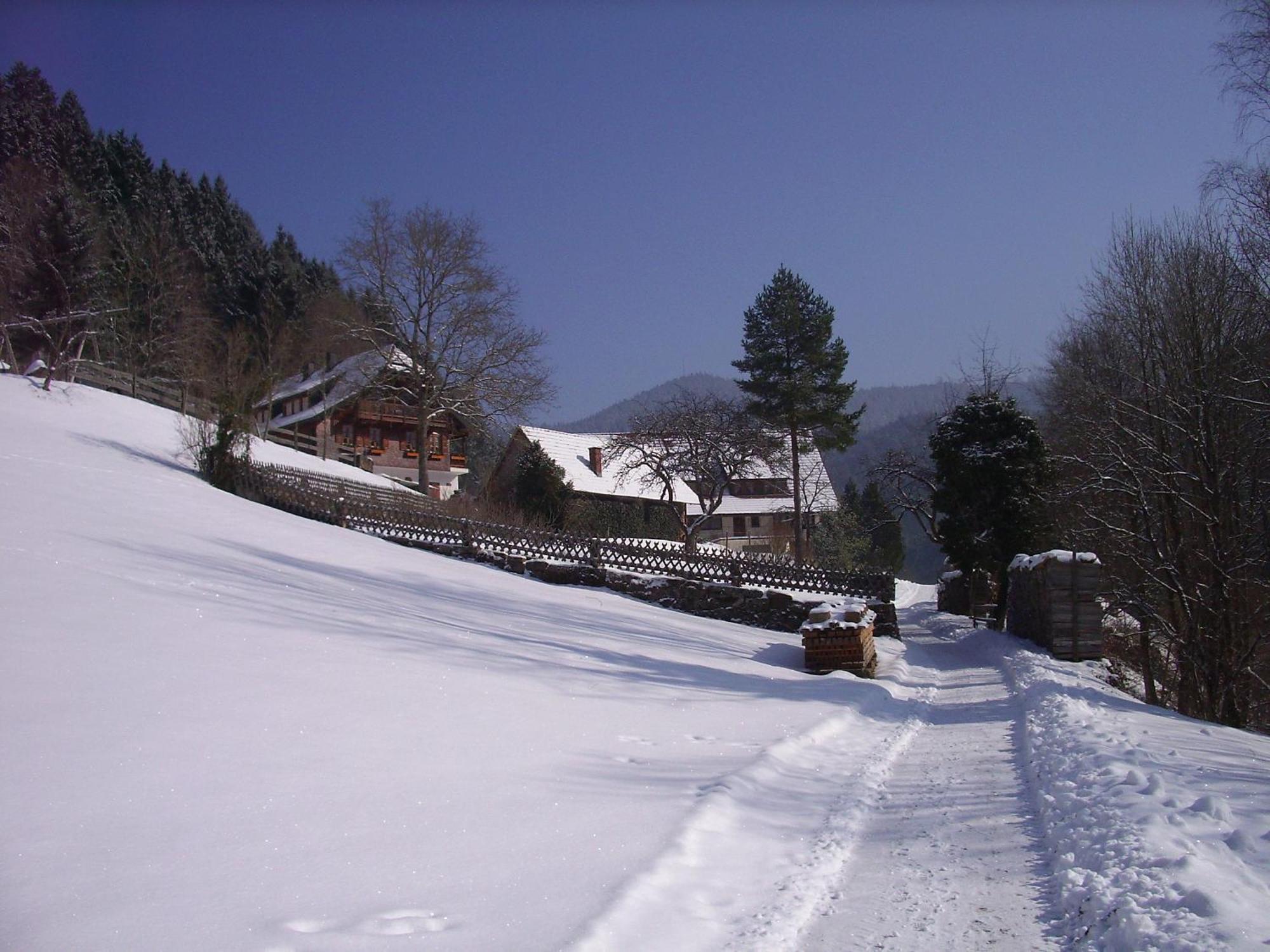 Vogtshof Appartement Bad Rippoldsau-Schapbach Buitenkant foto