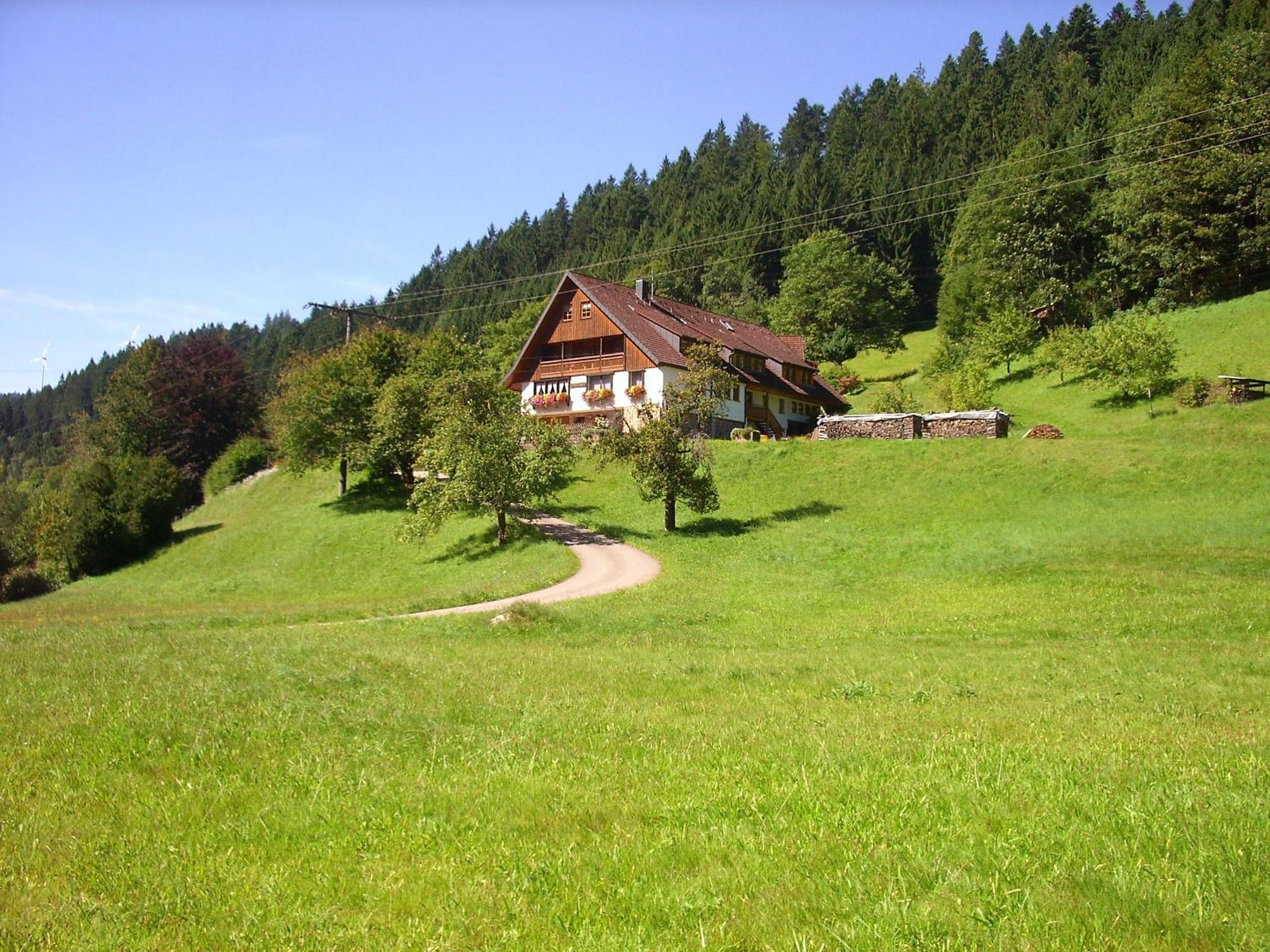 Vogtshof Appartement Bad Rippoldsau-Schapbach Buitenkant foto