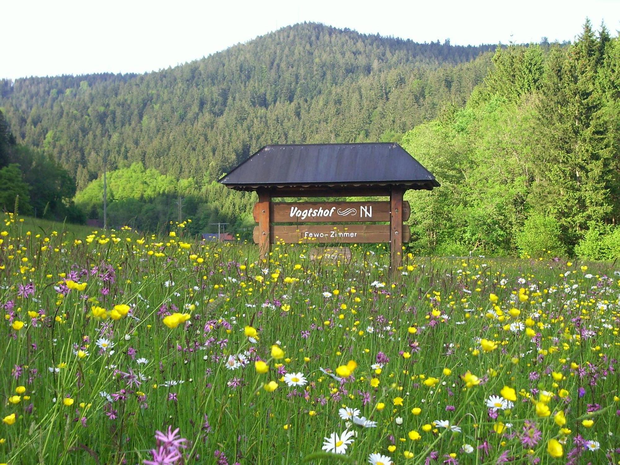 Vogtshof Appartement Bad Rippoldsau-Schapbach Buitenkant foto