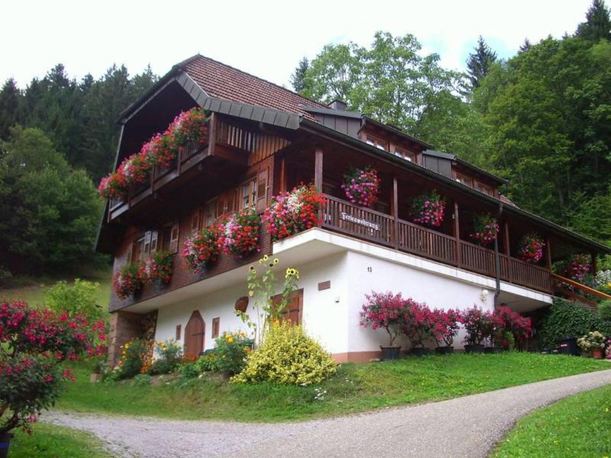 Vogtshof Appartement Bad Rippoldsau-Schapbach Buitenkant foto