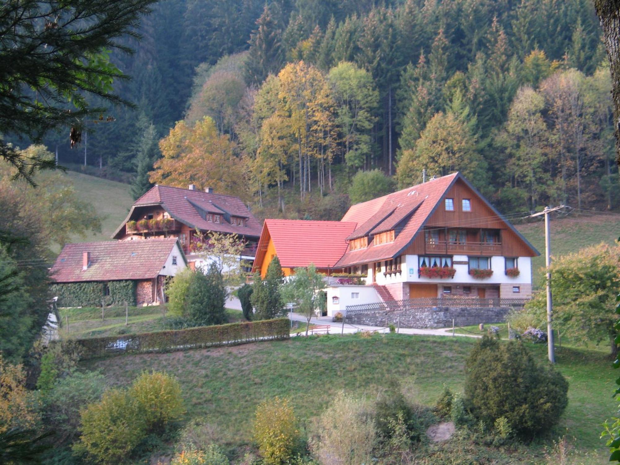 Vogtshof Appartement Bad Rippoldsau-Schapbach Buitenkant foto