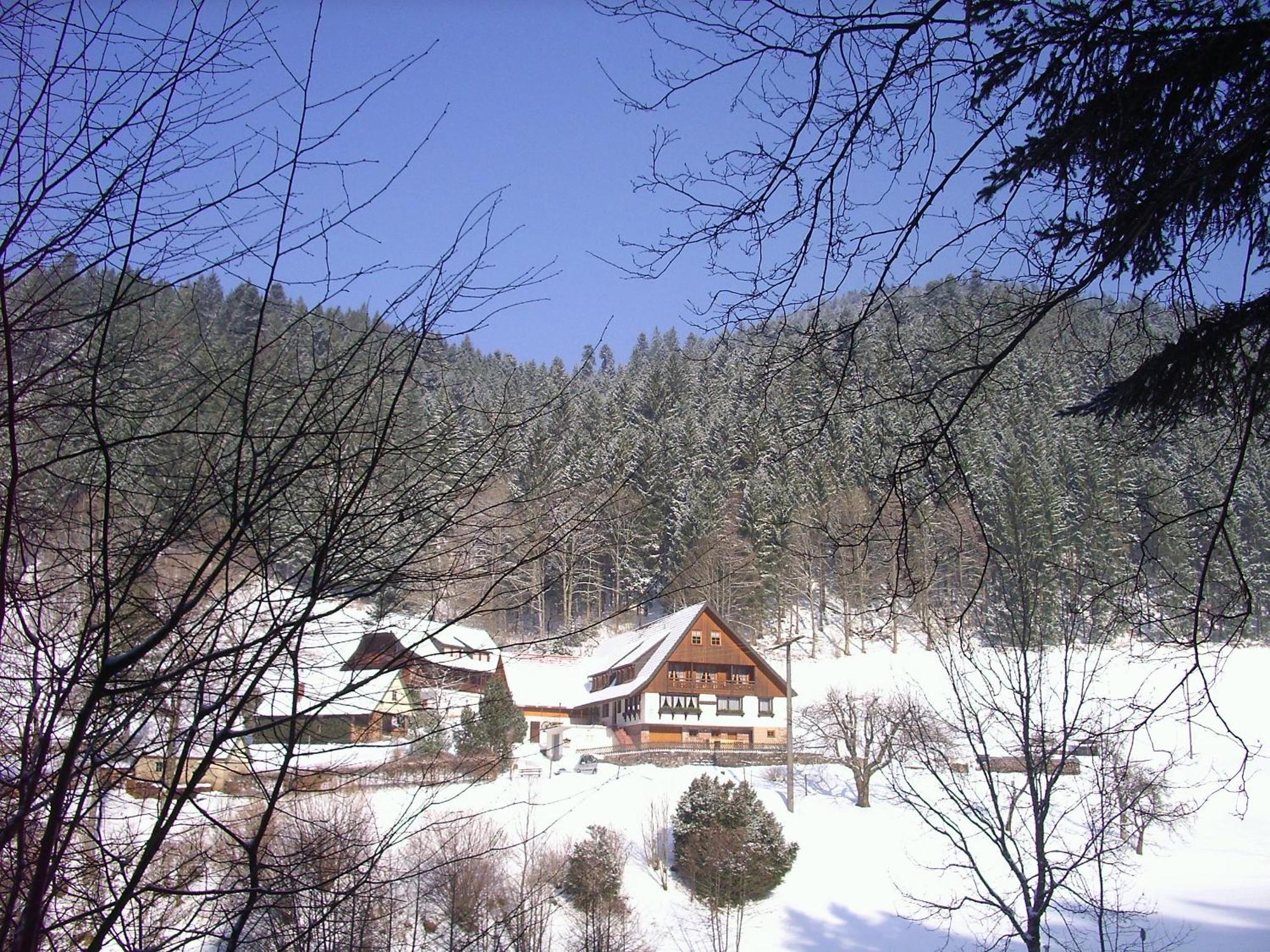 Vogtshof Appartement Bad Rippoldsau-Schapbach Buitenkant foto